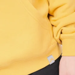 Mode Vêtement Magasin -Mode Vêtement Magasin Nike SB Premium Skate Hoodie Sanded Gold 2